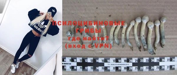 mix Богородск