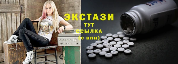 гидра Богородицк
