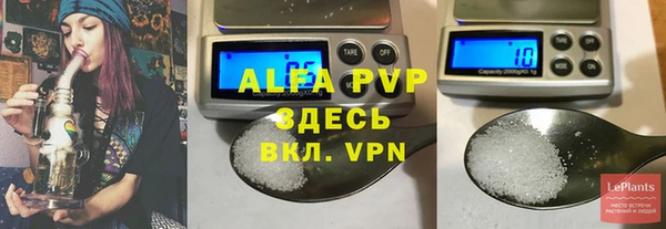 гидра Богородицк