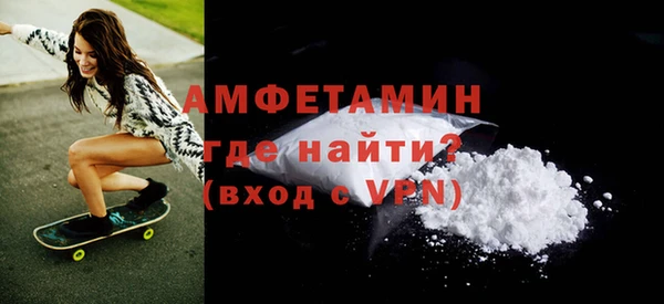 гидра Богородицк