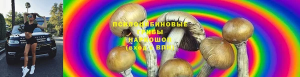 mix Богородск