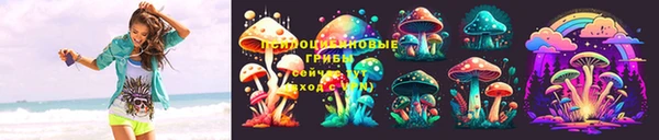 mdpv Верея