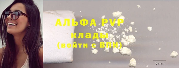 гидра Богородицк