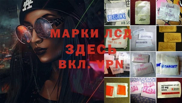 mdpv Верея