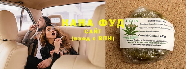 гидра Богородицк