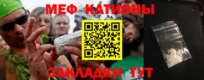 СК Гатчина