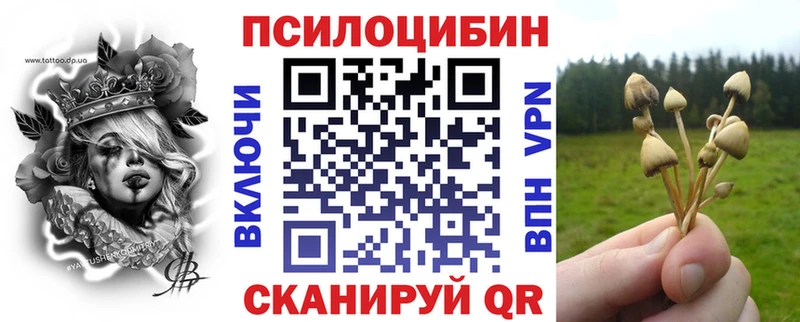 Псилоцибиновые грибы Magic Shrooms  Северск 