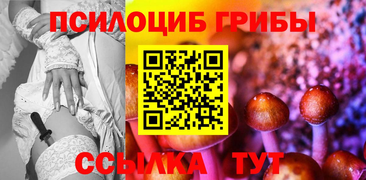 Псилоцибиновые грибы прущие грибы  Псилоцибиновые грибы Magic Shrooms  Вход с VPN  Северск 